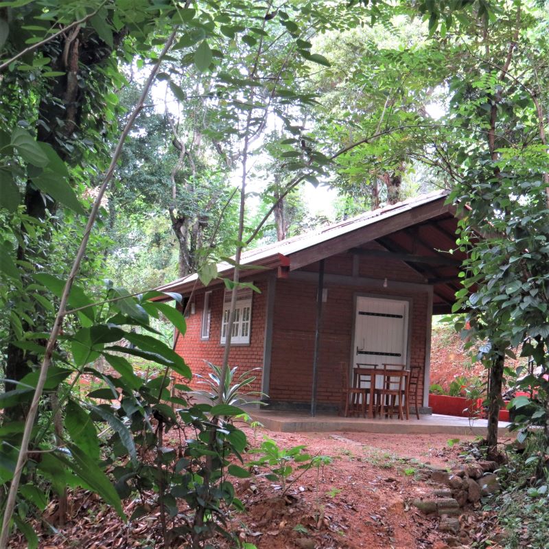 Eco Cottage