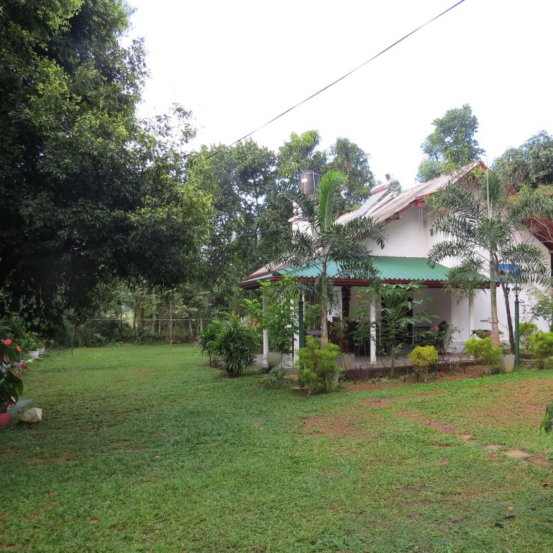 Main Bungalow